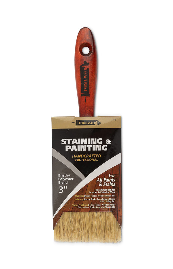 Pintar Stain Brush Poly/bristle